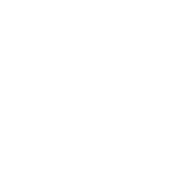 plewadienstverlening